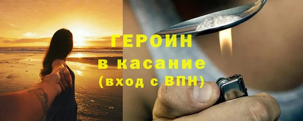 прущие грибы Богданович